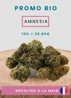 AMNESIA FRANÇAISE FLEUR DE CBD BIO A INFUSER