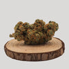 BLUEBERRY MUFFIN - INDOOR | FLEUR DE CBD A INFUSER