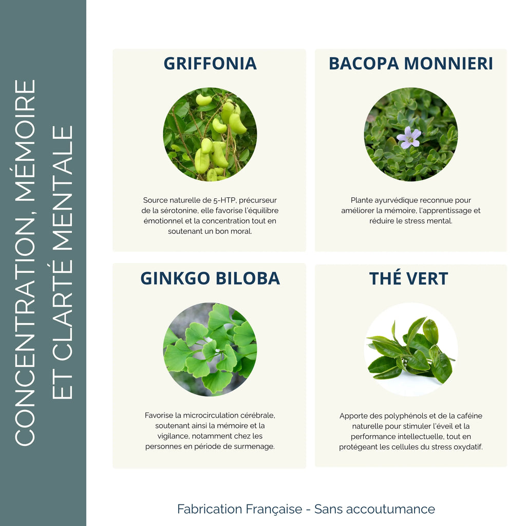Cérebro Plus Tonic : Formule Tonique intellectuel naturel – Herbalcura  France