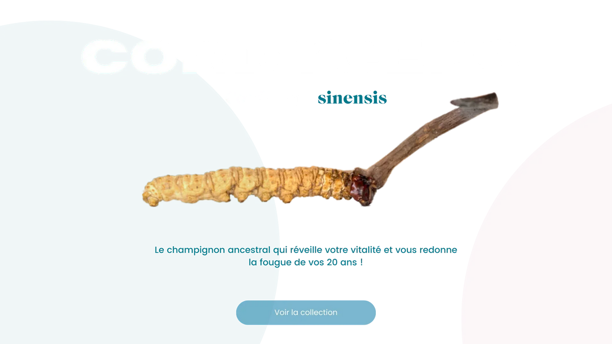 Texte alternatif :Cordyceps : champignon fascinant pour augmenter dopamine et énergie.