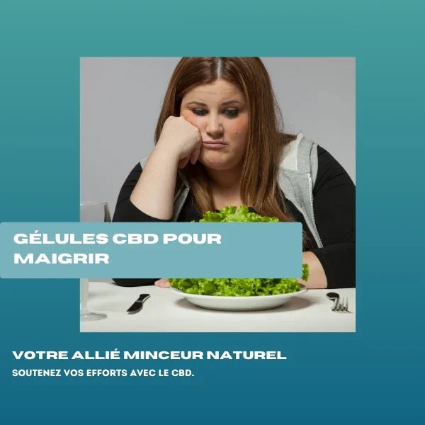 Gélule CBD pour maigrir