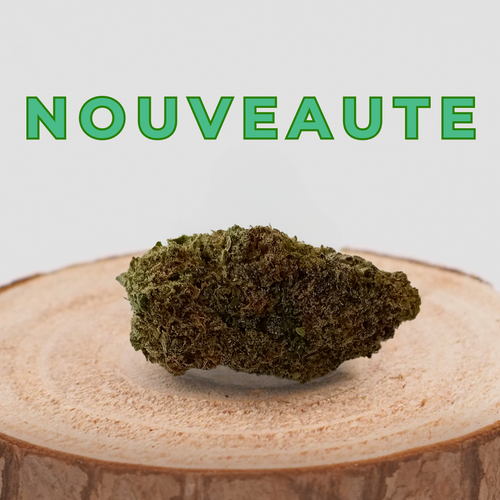 ALIEN OG - INDOOR | FLEUR DE CBD A INFUSER