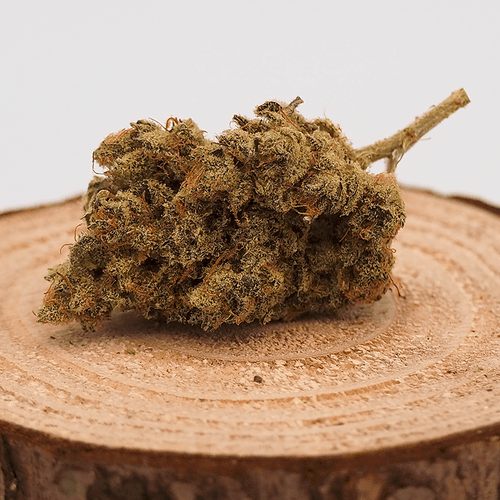 Fleur de CBD ALIEN HAZE cultivée en indoor, posée sur une tranche de bois. Fleur de chanvre 100% bio avec THC inférieur à 0,3%.