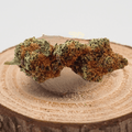Fleur de CBD BANANA 100% naturelle, cultivée en Indoor, posée sur un support en bois, arômes fruités et sucrés, faible THC <0,3%.