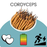 GÉLULES CORDYCEPS - FRENCH MUSH