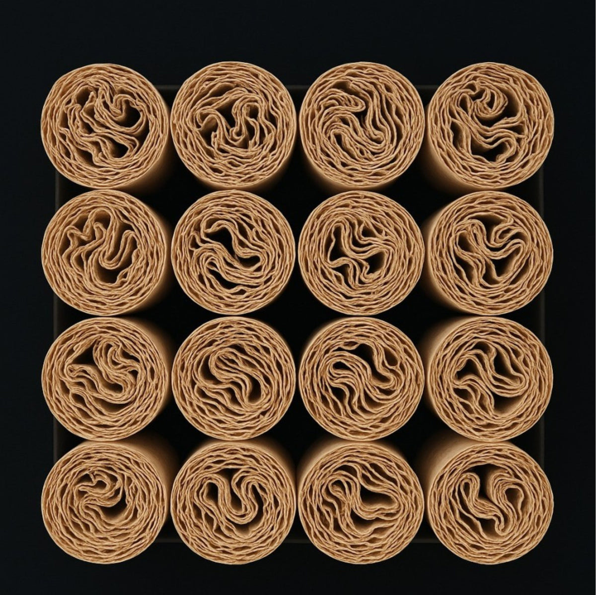20 PRE-ROLLS CBD ZION AMNESIA - BUDDY FRANCE