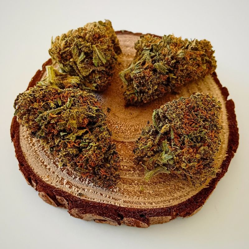 CHERRY GLUE - INDOOR - FLEUR DE CBD A INFUSER