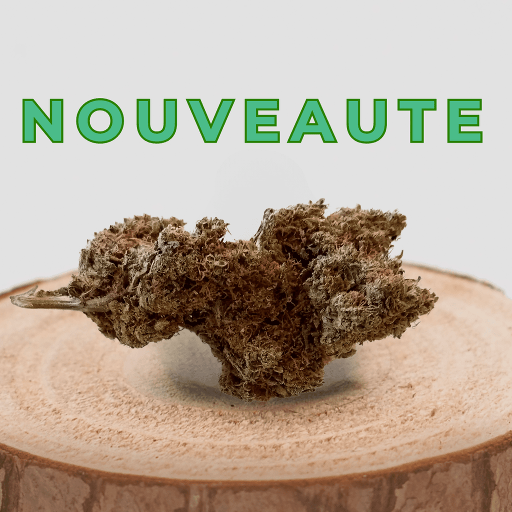Nouvelle fleur de CBD Critical Cheese sur support en bois