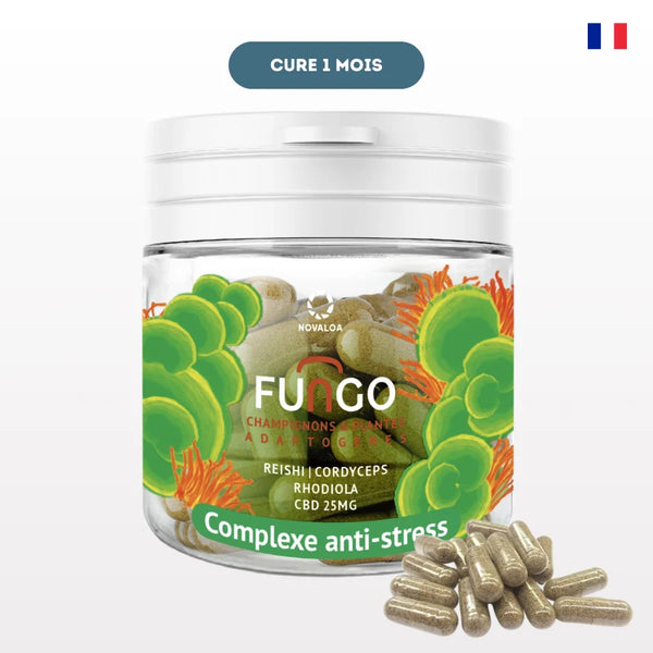 Gélules CBD Complexe Anti-Stress Fungo NOVALOA avec Reishi, Cordyceps et Rhodiola, offrant une cure d'un mois pour réduire le stress naturellement.