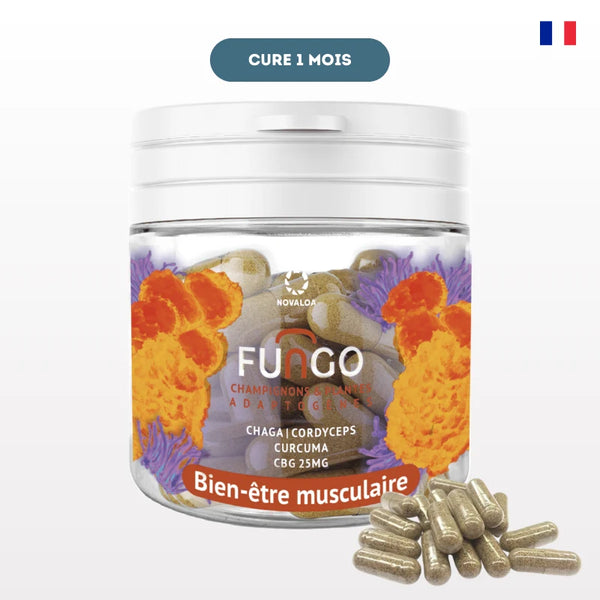 Gélules CBG Bien-être Musculaire Fungo de NOVALOA pour articulation, avec curcuma, chaga et cordyceps. Pot de 1 mois pour réduire douleurs et inflammations.