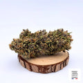 PURPLE DREAM - GREENHOUSE | FLEUR DE CBD A INFUSER