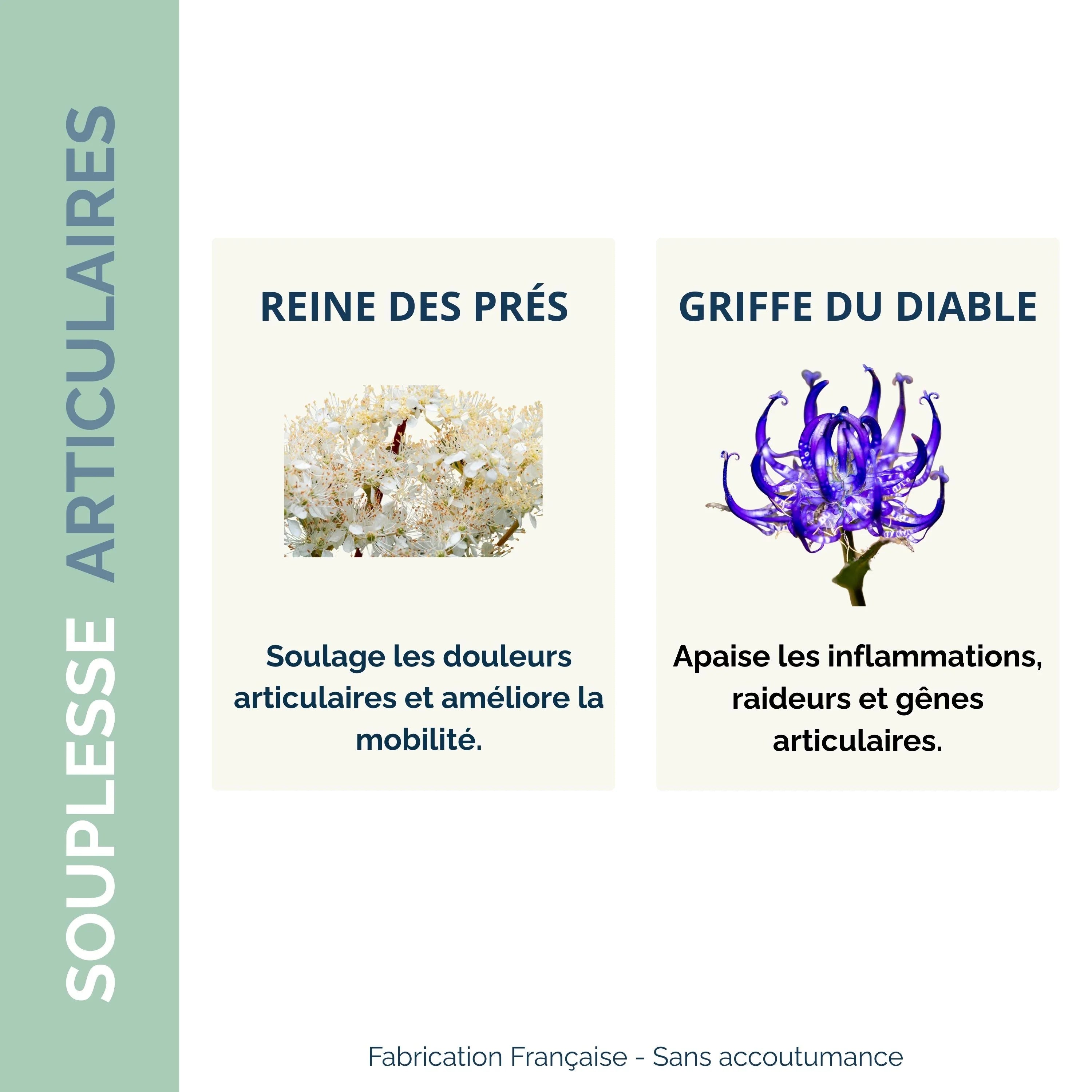 Souplesse Articulaire Bio