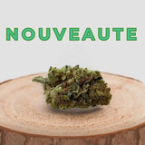 Nouvelle fleur de CBD Jack Herer indoor sur bois