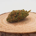 JACK HERRER - INDOOR | FLEUR DE CBD À INFUSER Fleurs Herbalcura France 