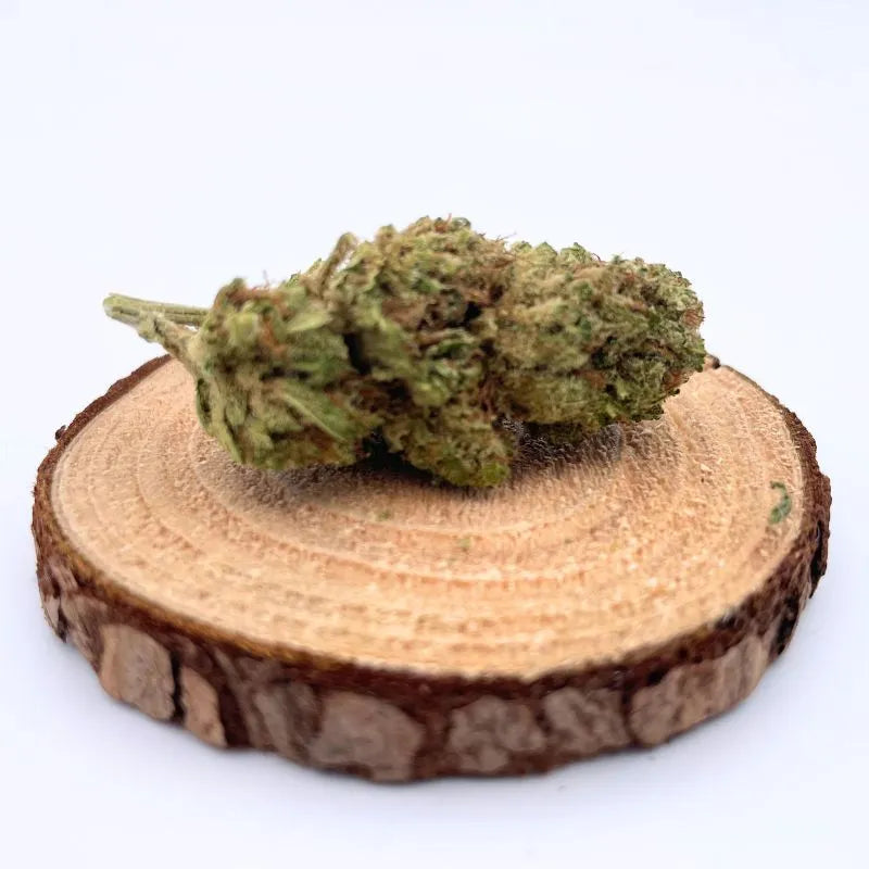 Fleur de CBD premium cultivée en serre, posée sur un support en bois naturel. Qualité supérieure pour bienfaits et arôme riches.