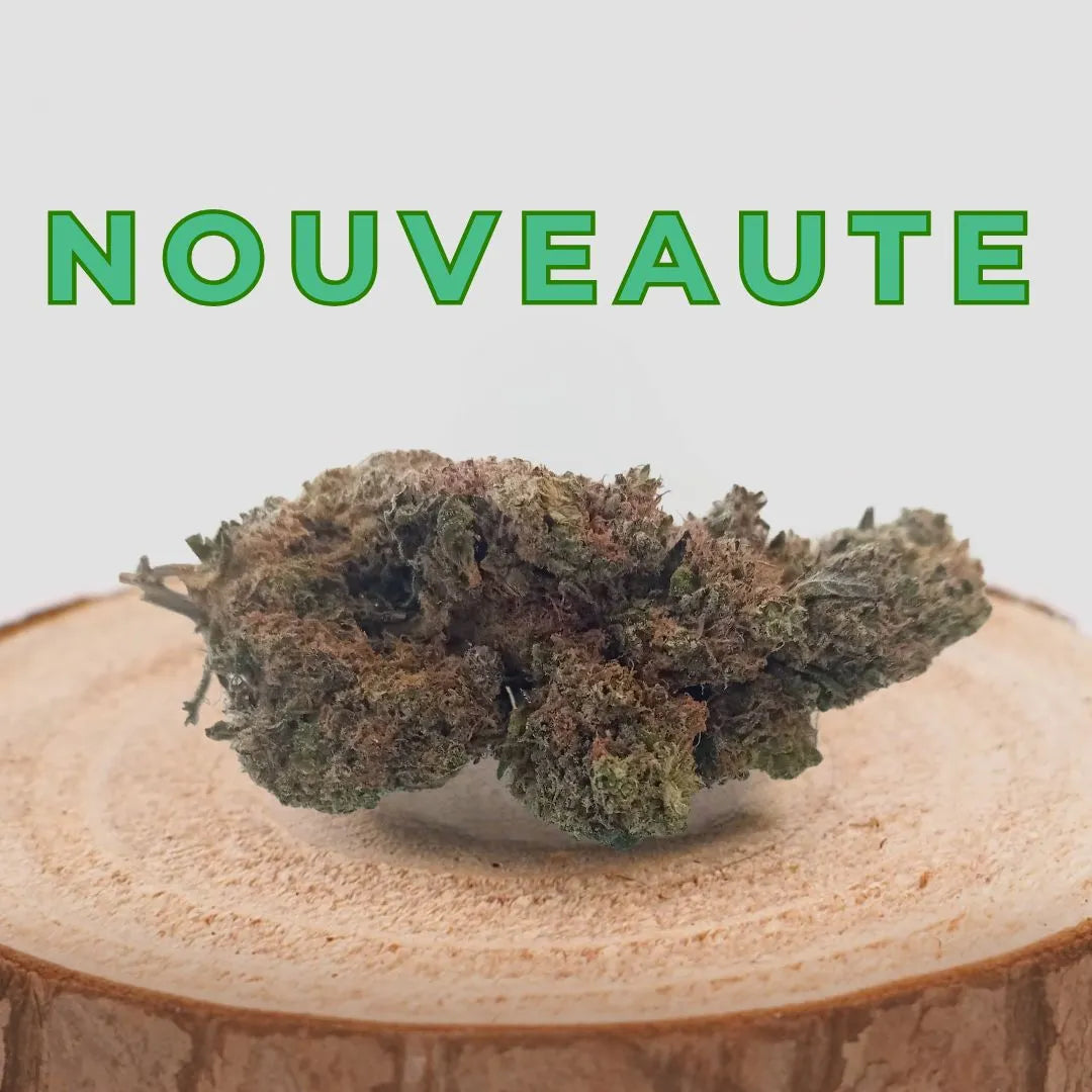 Fleur de CBD MONSTER KUSH cultivée en indoor, posée sur une tranche de bois, avec le texte 'NOUVEAUTÉ' en vert. Produit 100% naturel suisse avec 11,9% de CBD.