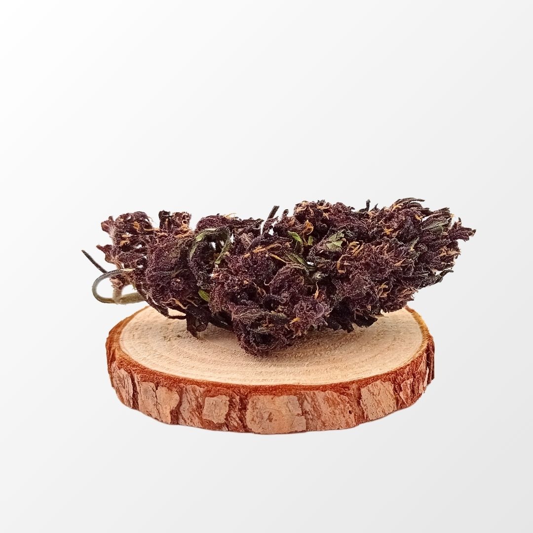 ORANGE BLACK - GLASSHOUSE | FLEUR DE CBD A INFUSER