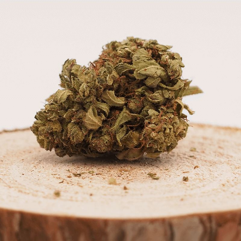 ORANGE SKUNK - INDOOR | FLEUR DE CBD Fleurs CBWEED 