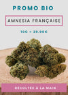 AMNESIA FRANÇAISE FLEUR DE CBD BIO