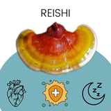 GÉLULES REISHI - FRENCH MUSH