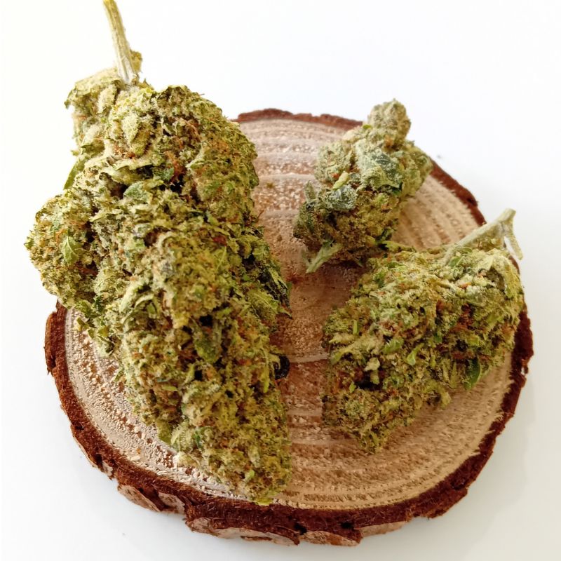 WHITE RUNTZ - INDOOR | FLEUR DE CBD A INFUSER