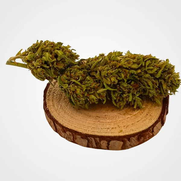 ALPHA  - GLASSHOUSE | FLEUR DE CBD PREMIUM A INFUSER
