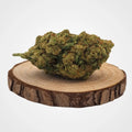 Fleur de CBD AMNESIA FROZEN cultivée en Indoor hydroponique en Suisse, posée sur une tranche de bois, idéale pour le bien-être et la gestion du stress.