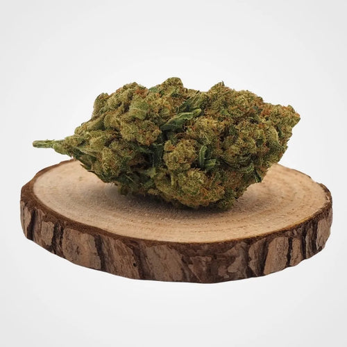 Fleur de CBD AMNESIA FROZEN cultivée en Indoor hydroponique en Suisse, posée sur une tranche de bois, idéale pour le bien-être et la gestion du stress.