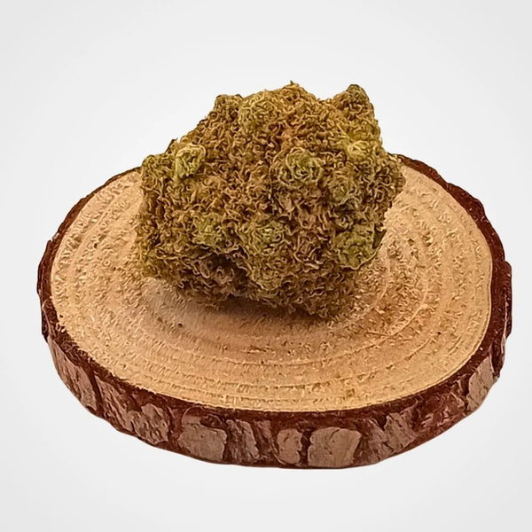 AMNESIA - INDOOR  | FLEUR DE CBD A INFUSER