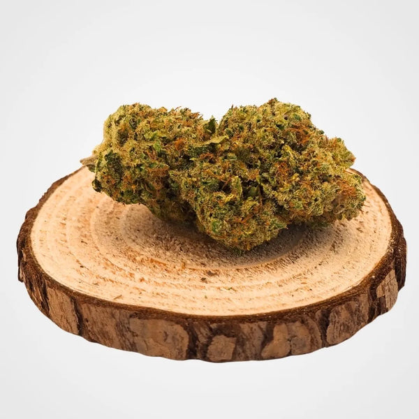 BLUE DREAM  - INDOOR | FLEUR DE CBD A INFUSER