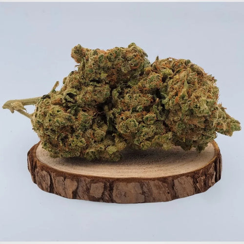 BLUE DREAM  - INDOOR | FLEUR DE CBD A INFUSER