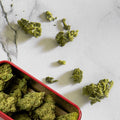 BOX DÉGUSTATION 7 FLEURS DE CBD | HERBALCURA Herbalcura France 