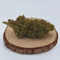 CANDY MELON - GREENHOUSE | FLEUR DE CBD A INFUSER - GREEN
