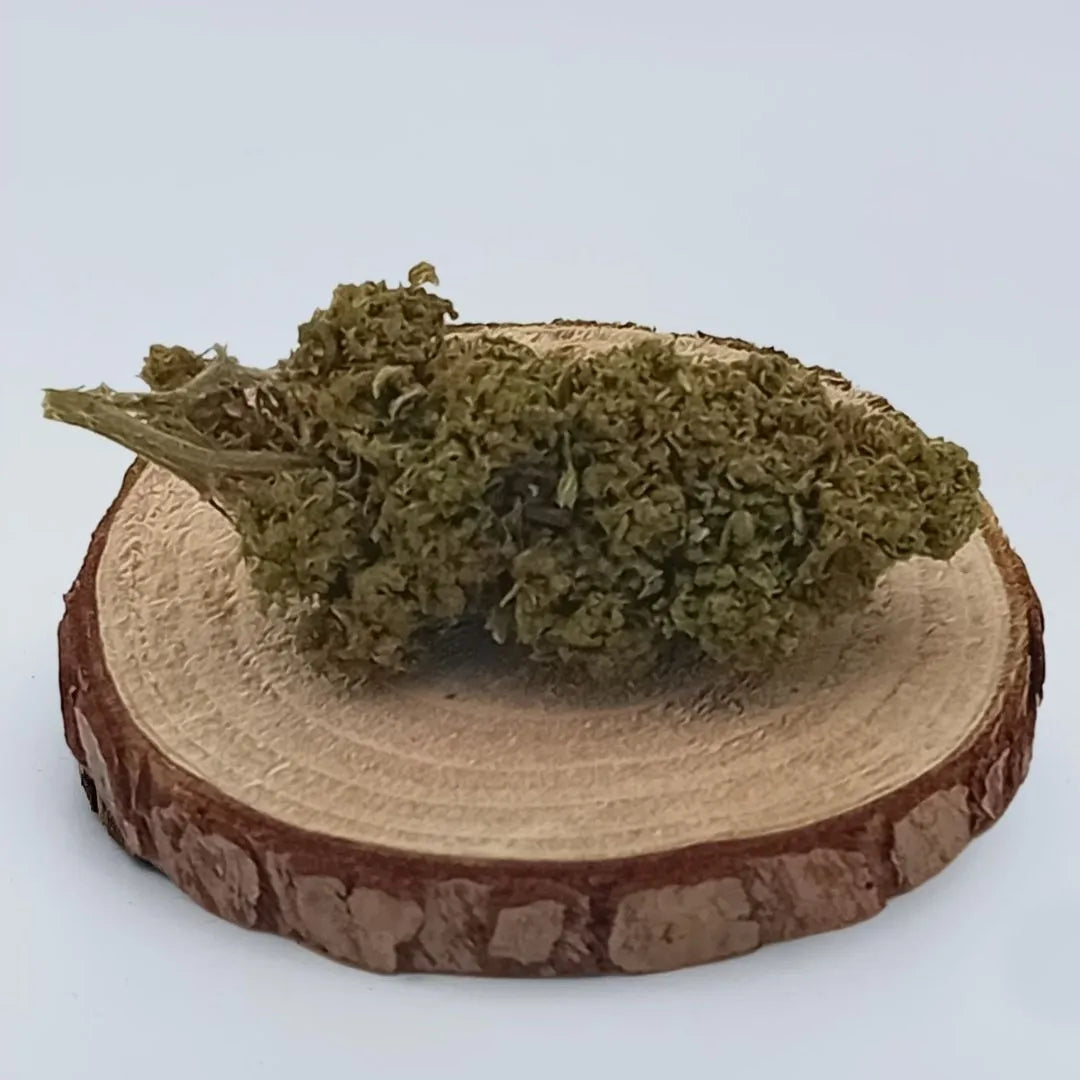 CANDY MELON - GREENHOUSE | FLEUR DE CBD A INFUSER - GREEN