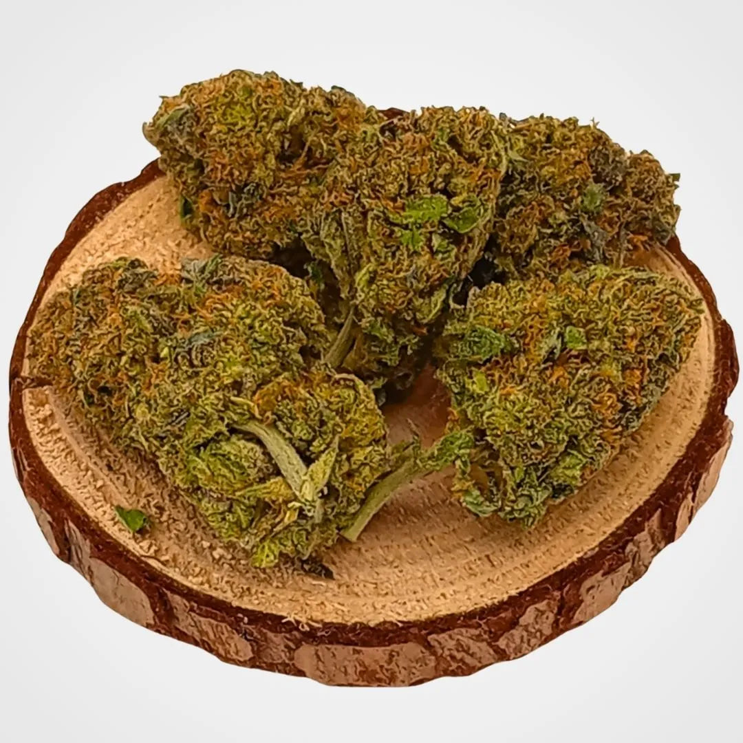 TROPICAL GHOST - INDOOR  | FLEUR DE CBD A INFUSER