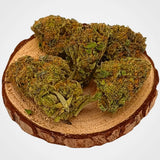TROPICAL GHOST - INDOOR  | FLEUR DE CBD A INFUSER