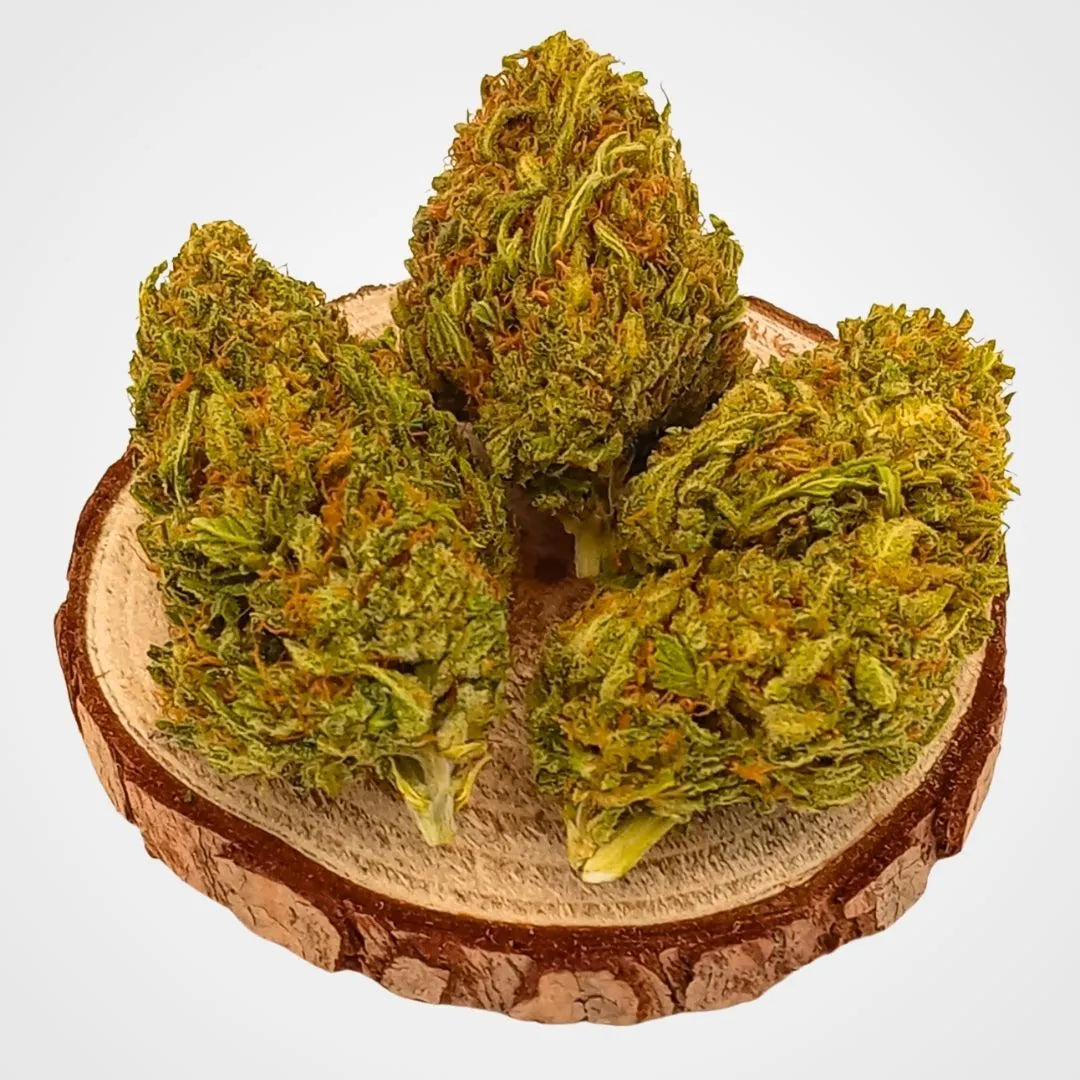 SUPER SILVER HAZE - GLASSHOUSE  | FLEUR DE CBD A INFUSER - GREEN
