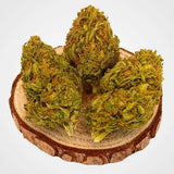SUPER SILVER HAZE - GLASSHOUSE  | FLEUR DE CBD A INFUSER - GREEN