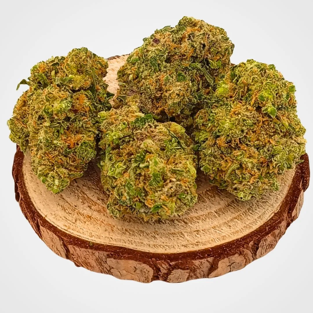 JELLY GELATO - INDOOR HYDROPONIE -  FLEUR DE CBD A INFUSER