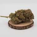 GHOST US  - INDOOR - HYDROPONIE | FLEUR DE CBD A INFUSER