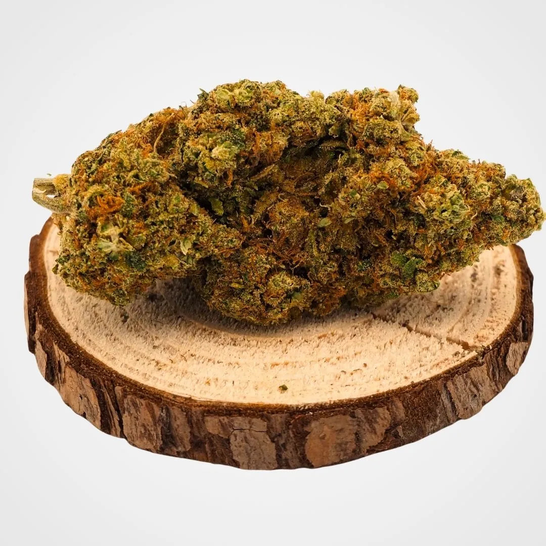 GORILLA CHEESE  - INDOOR | FLEUR DE CBD A INFUSER