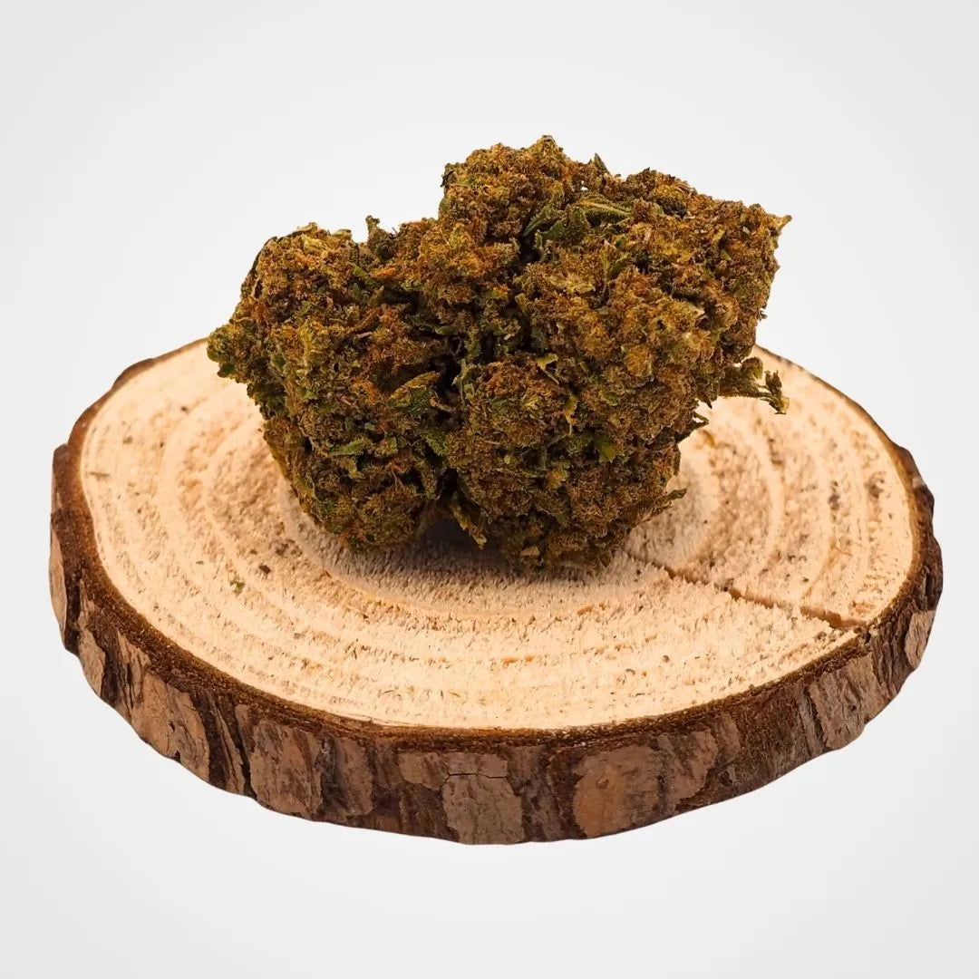 CAKE BERRY - INDOOR - FLEUR DE CBD A INFUSER