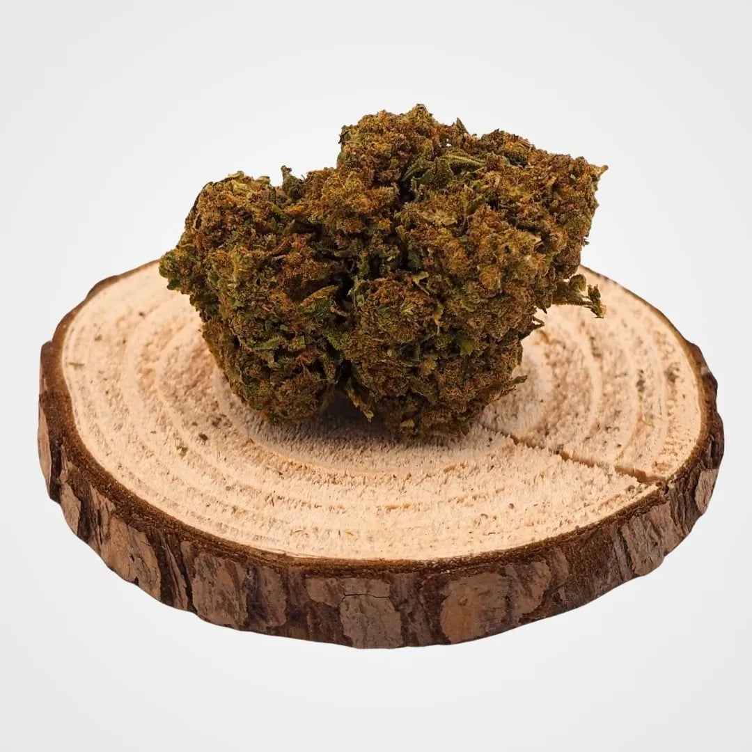 HARLEQUIN - GREENHOUSE  | FLEUR DE CBD A INFUSER - GREEN