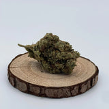 JUNGLE CAKE INDOOR | FLEUR DE CBD