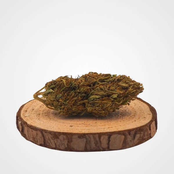 KOMPOLTI - OUTDOOR | FLEUR DE CBD