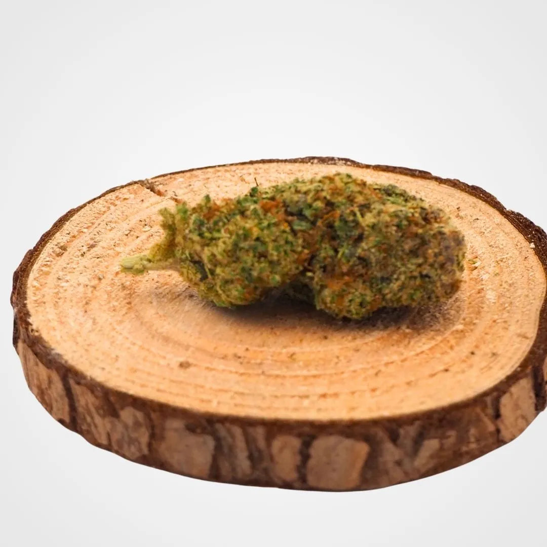 MALABAR INDOOR | FLEUR DE CBD A INFUSER