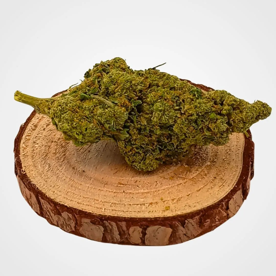 MIMOSA - INDOOR  FLEUR DE CBD A INFUSER