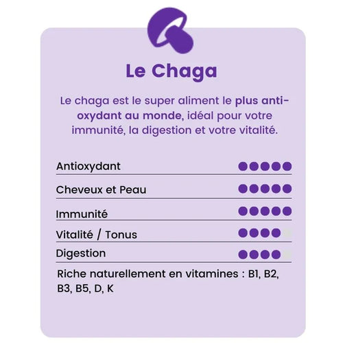 Infographie sur le Chaga, super aliment riche en antioxydants, idéal pour l'immunité, la digestion et la vitalité. Contient des vitamines B1, B2, B3, B5, D et K.