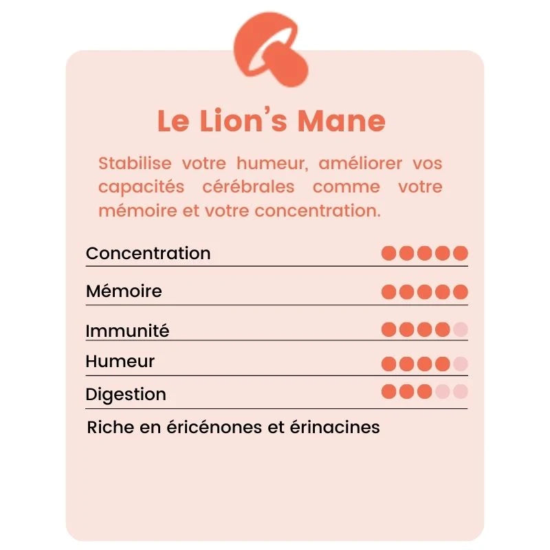 bienfait lion's mane
