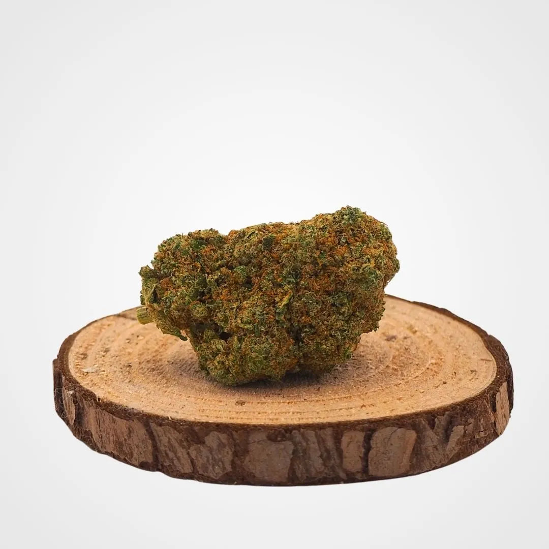 RED CHERRY US - HYDROPONIE INDOOR | FLEUR DE CBD A INFUSER